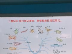 -上海昆虫博物馆