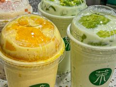 -茉酸奶(春熙路店)