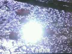-搜秀影城