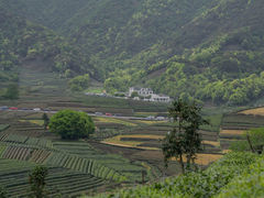-龙坞茶村