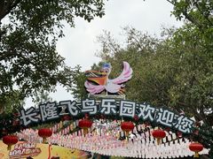 -广州长隆飞鸟乐园