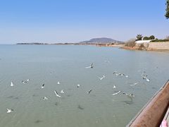 -巢湖姥山岛