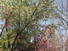 -西安市长乐公园