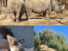 -北京野生动物园