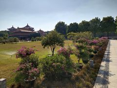 -广东圆玄道观