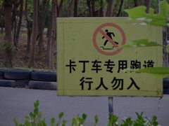 -上海海湾国家森林公园