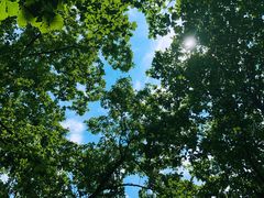 -陕西省红河谷森林公园