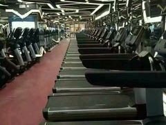 -金吉鸟健身游泳