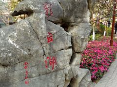 -重庆彩云湖湿地公园