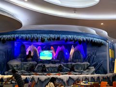 -帝企鹅自助餐厅•儿童岛•真企鹅(长隆企鹅酒店)