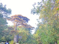 -香山公园