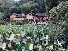 -韶山毛泽东同志故居