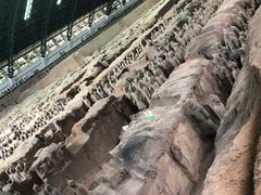 -秦始皇帝陵博物院-丽山园