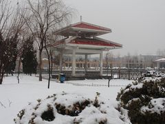 -张店儿童公园