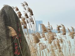-金鸡湖桃花岛