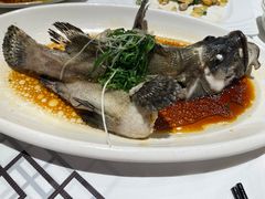 -强记海鲜·大排档(蛇口新街店)