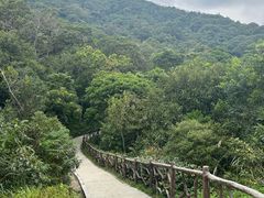 -梧桐山风景名胜区