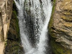 -牛背梁国家森林公园