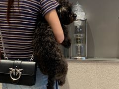 -喜茶(东莞汇一城店)