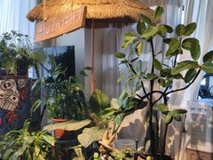 -Thai Basil罗勒叶泰式餐厅(时代天街店)