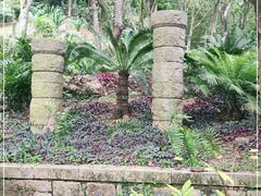 -深圳仙湖植物园