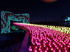 -长春公园(普阳街道)