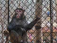 -长白岛森林公园