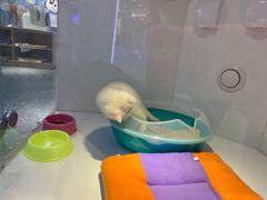 -龟与熊猫宠物公园(南坪店)