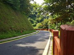 -黄埔油麻山森林公园