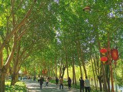 -长春公园(普阳街道)