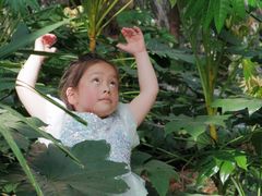 -苏州河梦清园环保主题公园