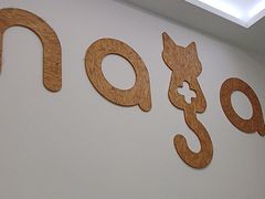 -纳吉亚猫专科动物医院·北北分院