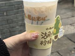 -猫的魔法密林(衣裳街店)