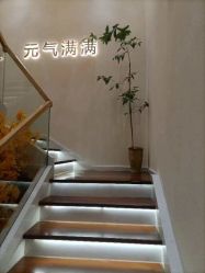 -可樱汇·美容洗发SPA