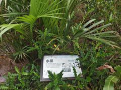 -东寨港红树林旅游区