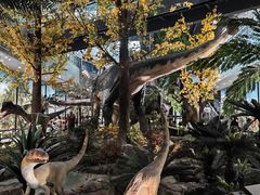 -湖南省地质博物馆