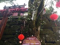 -九曲溪竹筏码头