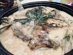 -林口邵胖子大鹅(新安街东五店)