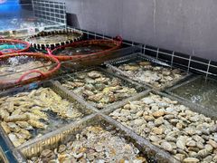 -好兄弟郭巨海鲜(天一阁店)