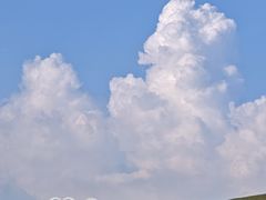 -大姆山草场