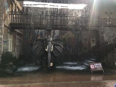 -呀路古热带植物园