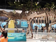 -国家自然博物馆