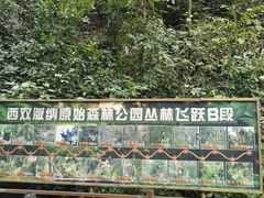 -西双版纳原始森林公园