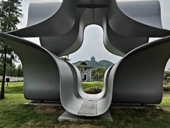 -王借岗森林公园