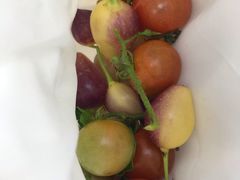 -三门江国家森林公园