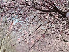 -瀛海足球主题公园