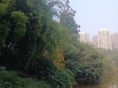 -龙头寺公园