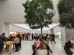 -Apple零售店(济南恒隆广场店)