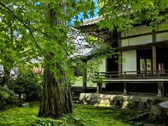 -三千院