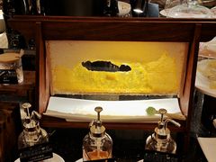 -北京四季酒店